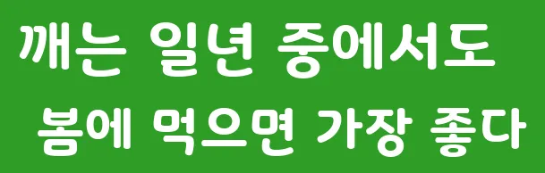 깨는 일년 중에서도 봄에 먹으면 가장 좋다