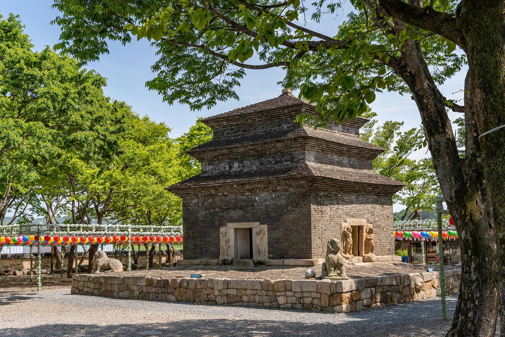 경북 경주 분황사 - 모전석탑 청보리 양귀비 - 분황사 모전석탑 분황사 모전석탑