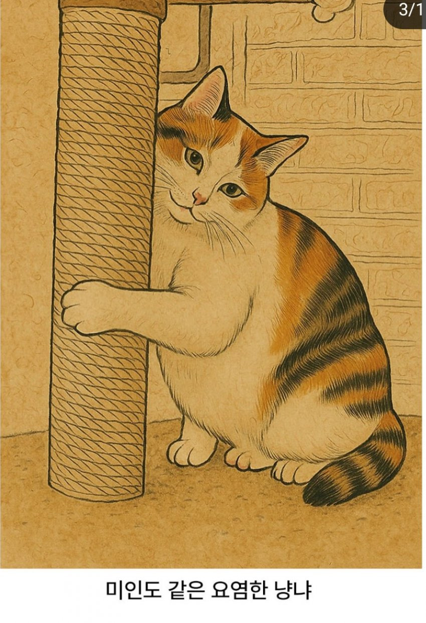 img.jpg