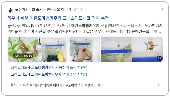 도마뱀 키우기_2_subsection