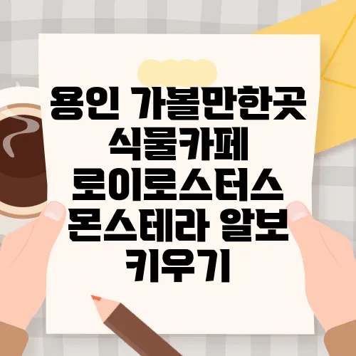 용인 가볼만한곳 식물카페 로이로스터스 몬스테라 알보 키우기
