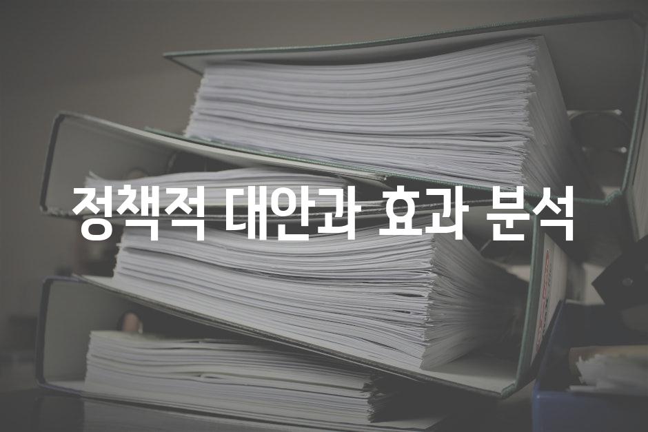 정책적 대안과 효과 분석