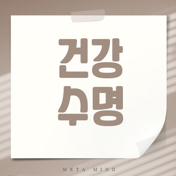 건강수명 완벽 정리: 100세까지 건강한 삶의 비결