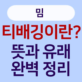 티배깅이란? 티배깅 뜻과 유래, 티배깅 문화까지 완벽 분석