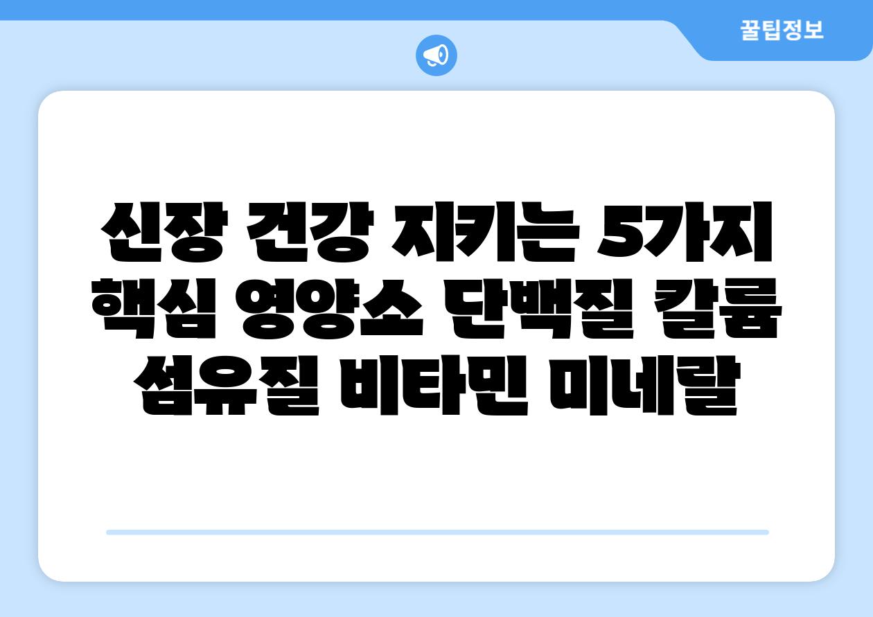 신장 건강 지키는 5가지 핵심 영양소 단백질 칼륨 섬유질 비타민 미네랄