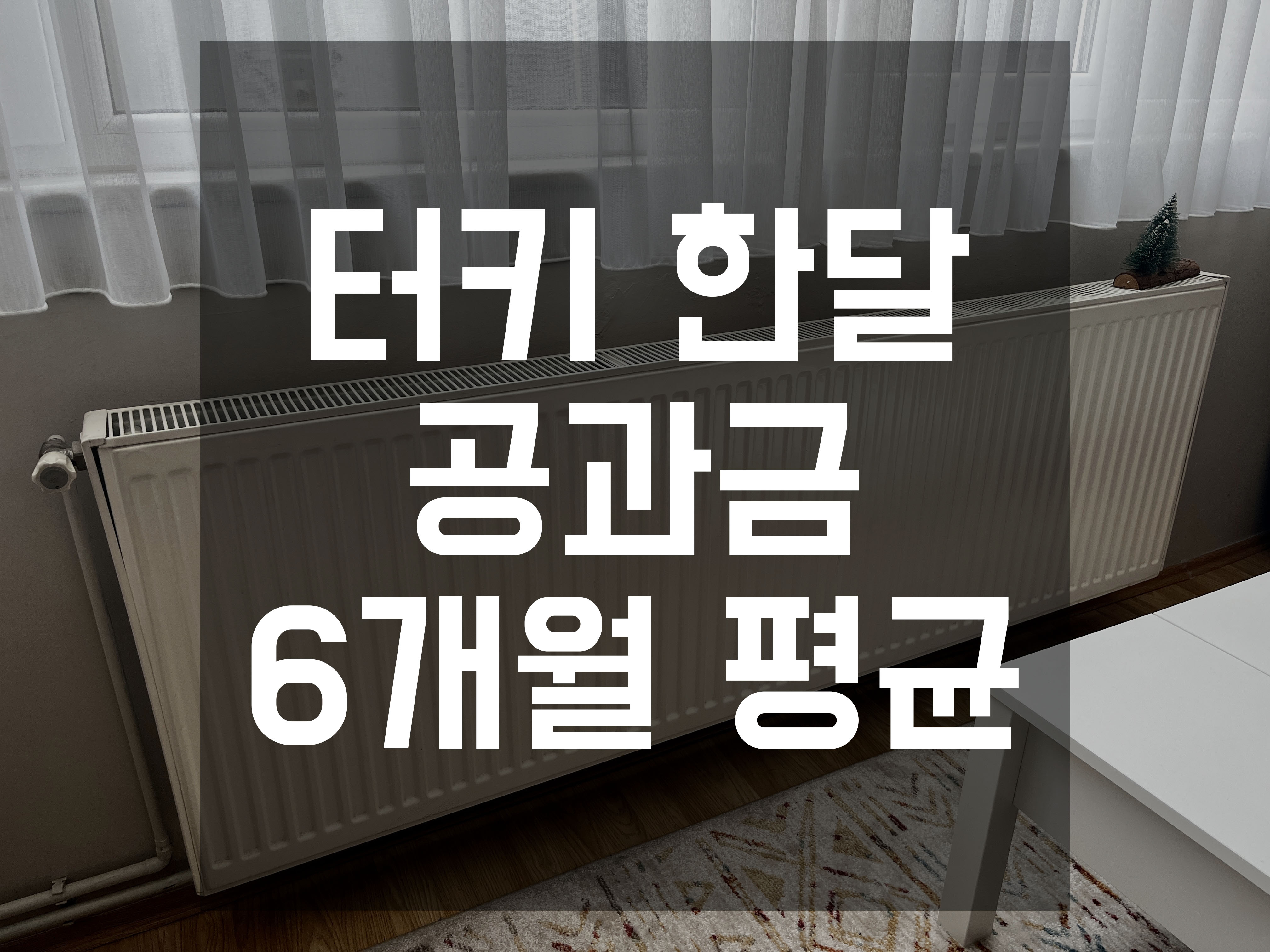 터키 이스탄불 한달 생활 공과금 6개월 비교