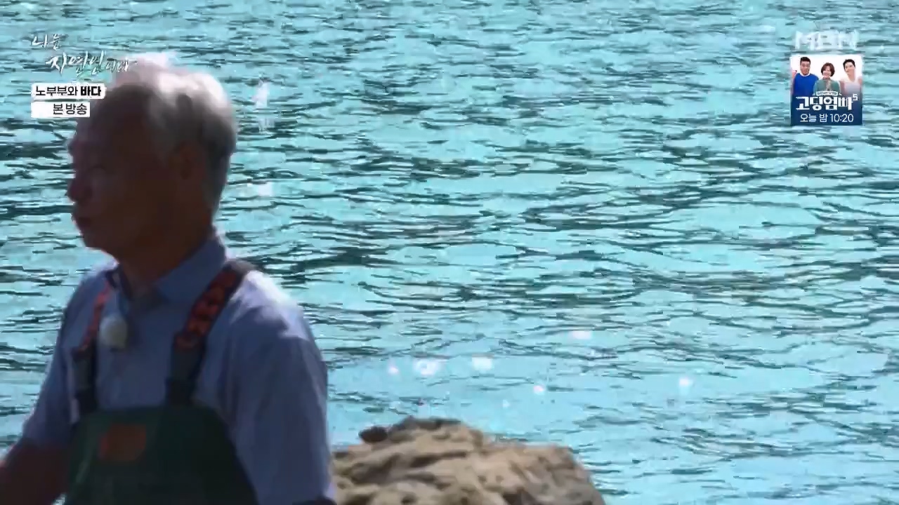 나는 자연인이다.E610.240620p-NEXT.mp4_20240620_194753.103.jpg