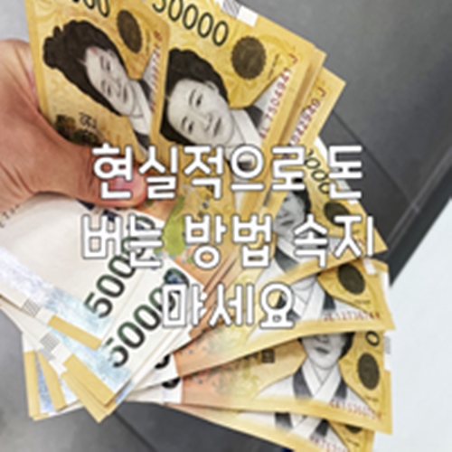  현실적으로 돈 버는 방법 속지 마세요