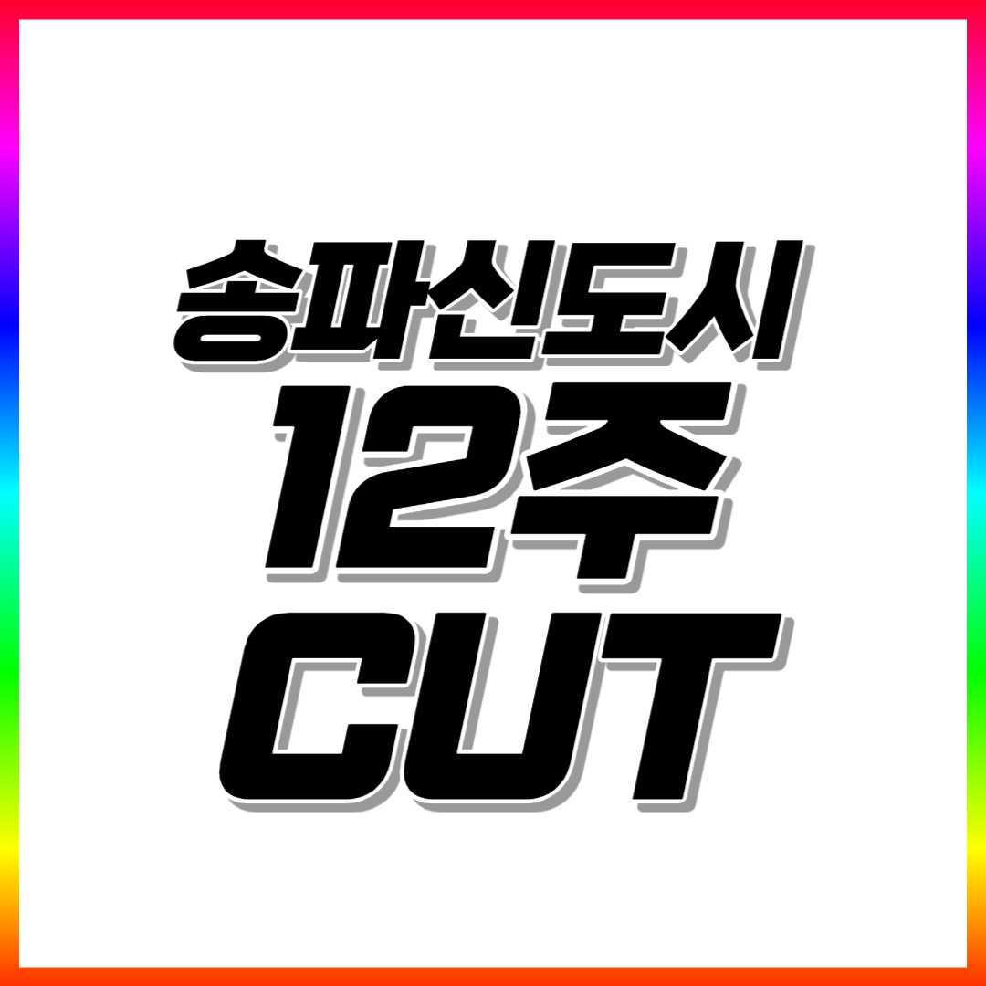  송파신도시 초등 수학과외 송파 고등 중학생 영어과외 국어 과학 전과목 일대일 선생님 내신관리