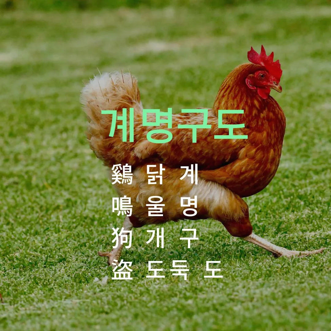 계명구도