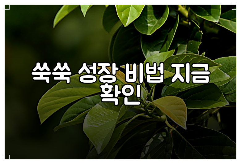 쑥쑥 성장 비법 지금 확인
