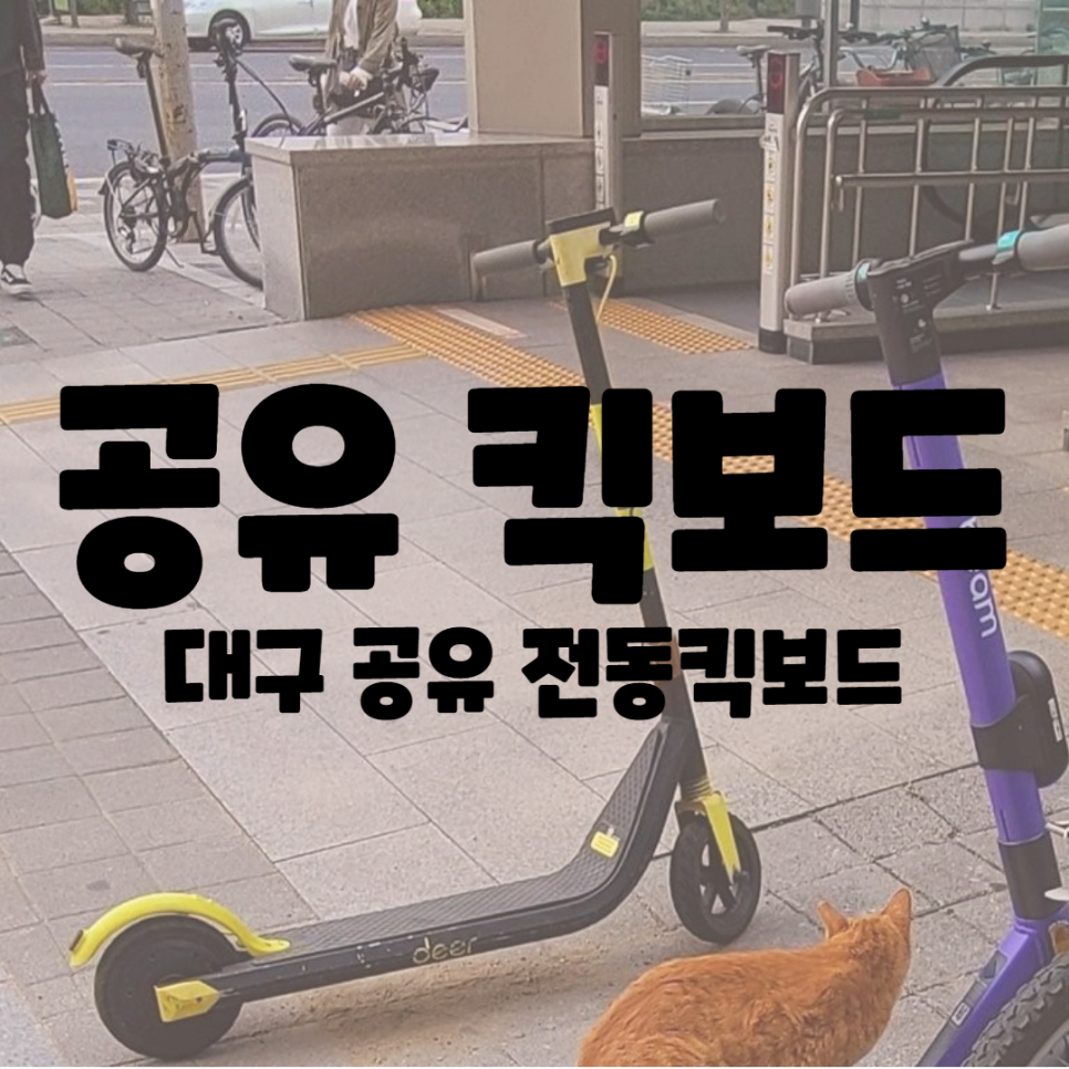  대구 공유 전동 킥보드 deer 디어 실제 사용 후기