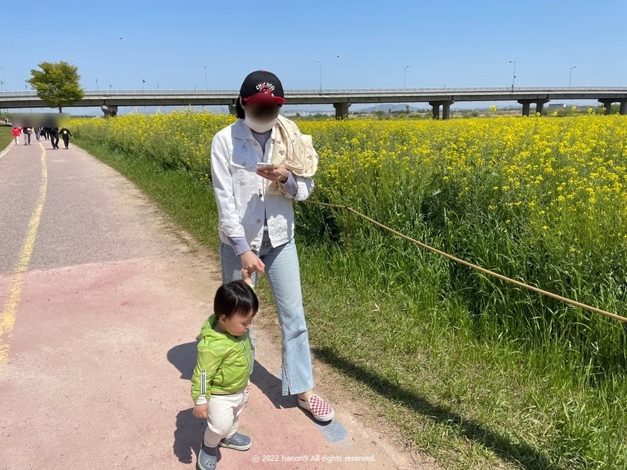 영산강 나주 유채꽃 나들이 7