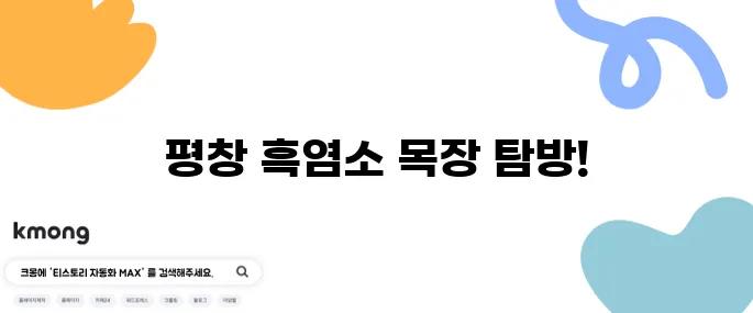 2tv 생생정보 염소 목장 - 평창의 푸른 초원에서 방목되는 흑염소, 나나랜드로의 초대!