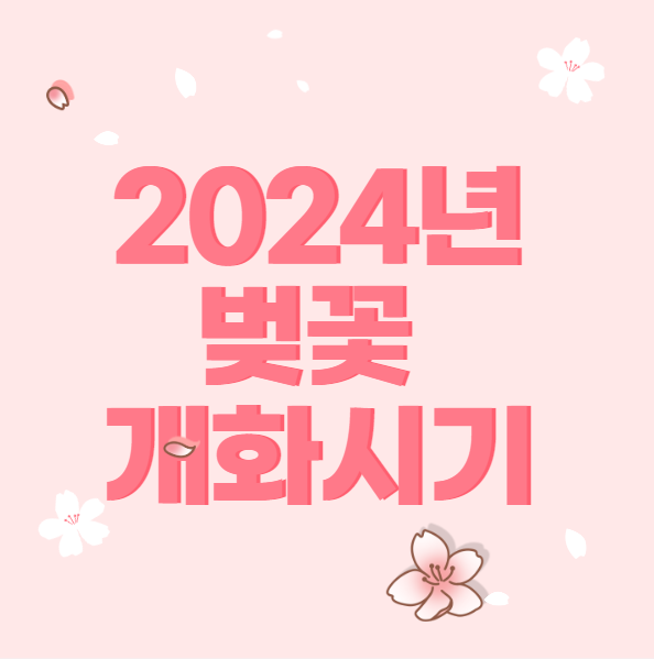  2024년 벚꽃 개화시기