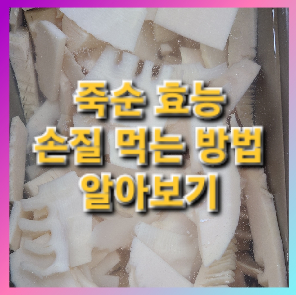  죽순 효능 손질 먹는 방법 알아보기