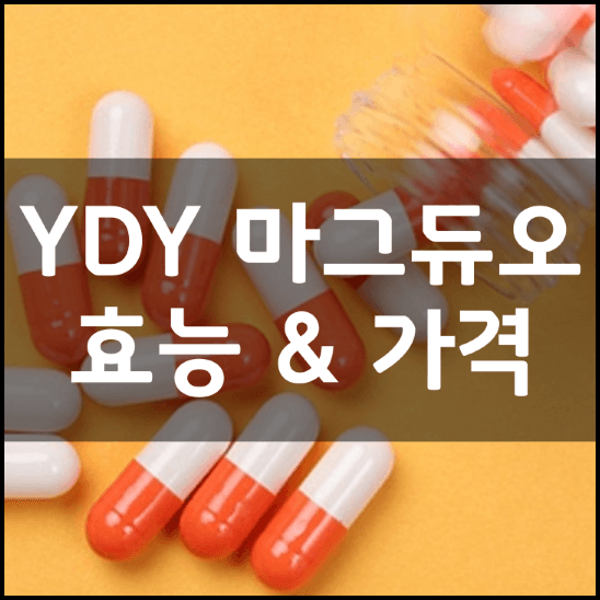 YDY-마그듀오-마그네슘-효능-가격