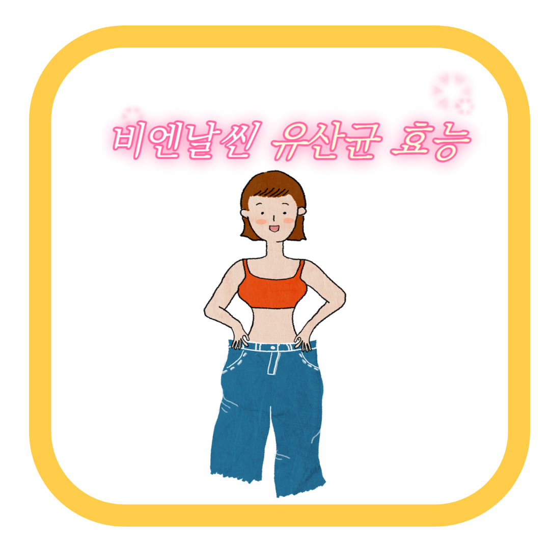  비에날씬(BNR17) 유산균 후기 및 효능 알아보기