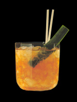  슬로 데킬라(Sole Tequila)