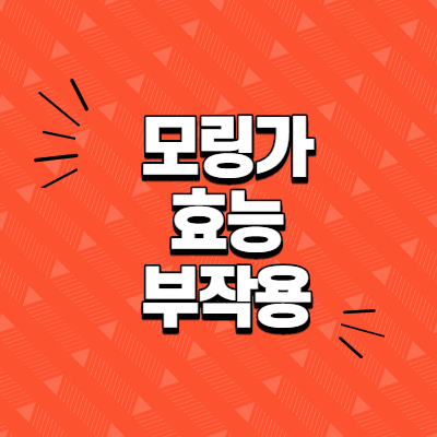  모링가 효능과 부작용 및 섭취방법