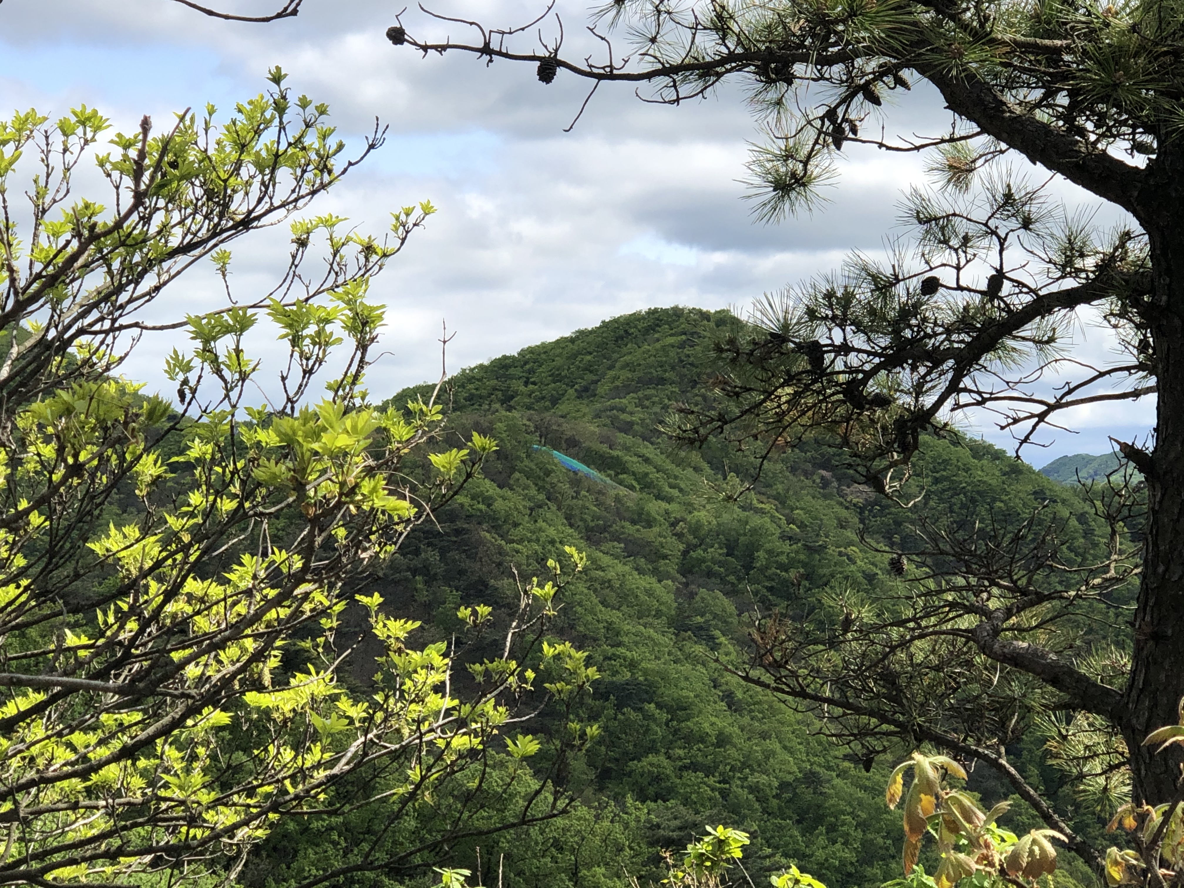 적갑산 등산코스