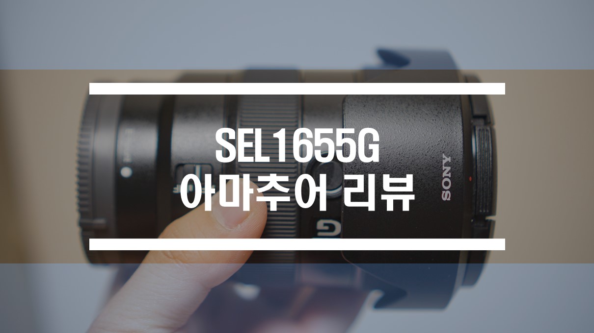  소니 크롭 렌즈 SEL1655G (16-55mm F2.8 표준 줌 렌즈) 후기