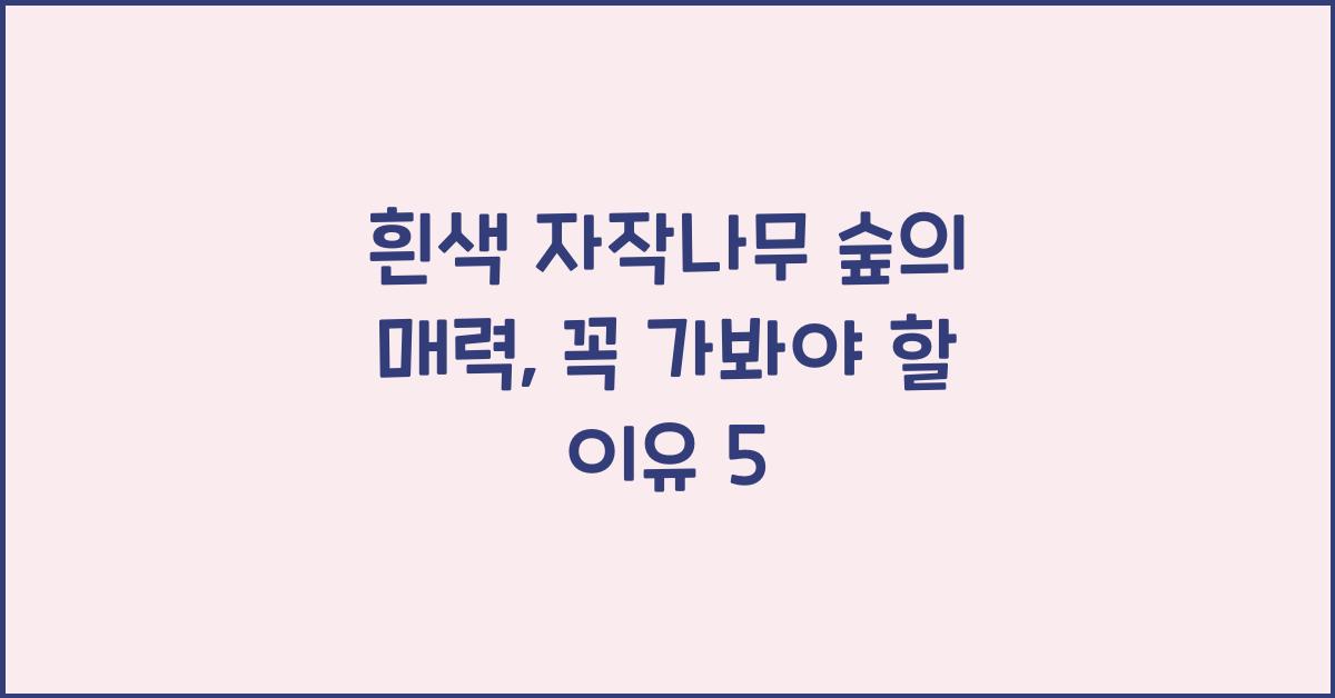 흰색 자작나무 숲