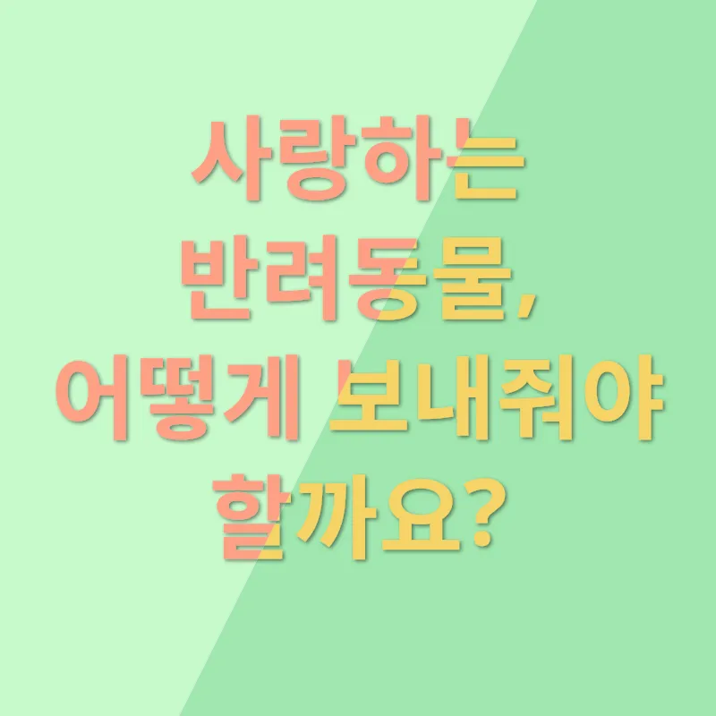 반려동물 애도_1