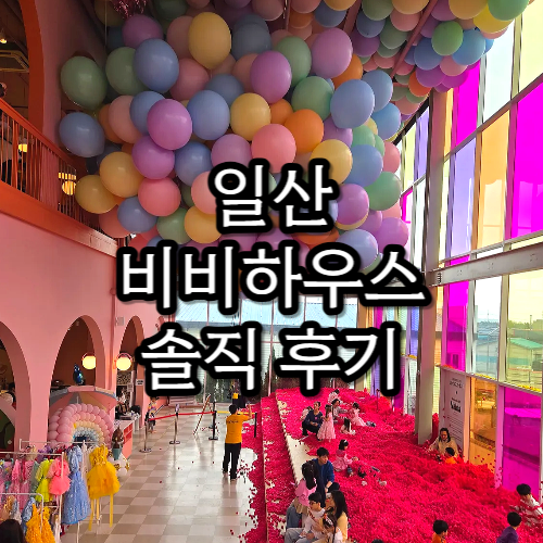 일산 비비하우스 솔직 후기