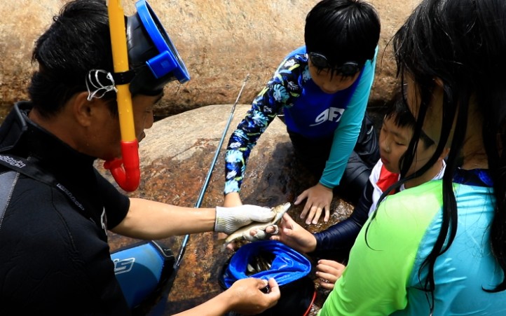 한국기행-구례군-블루베리-일년을기다렸다