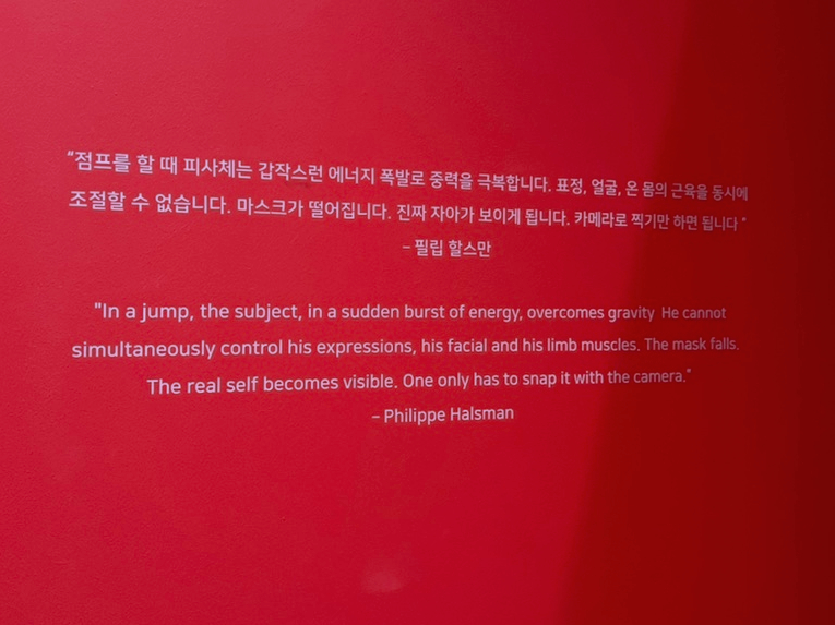 점핑 어게인 ( ~4/7) 20