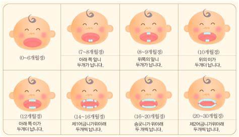  아기 이앓이 캔디 - 오사닛 캔디 효과 있나? (그리운 공갈 젖꼭지)