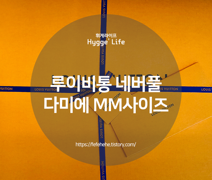  루이비통 가방 네버풀 다미에 MM (+생일선물)