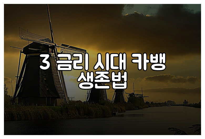 3 금리 시대 카뱅 생존법