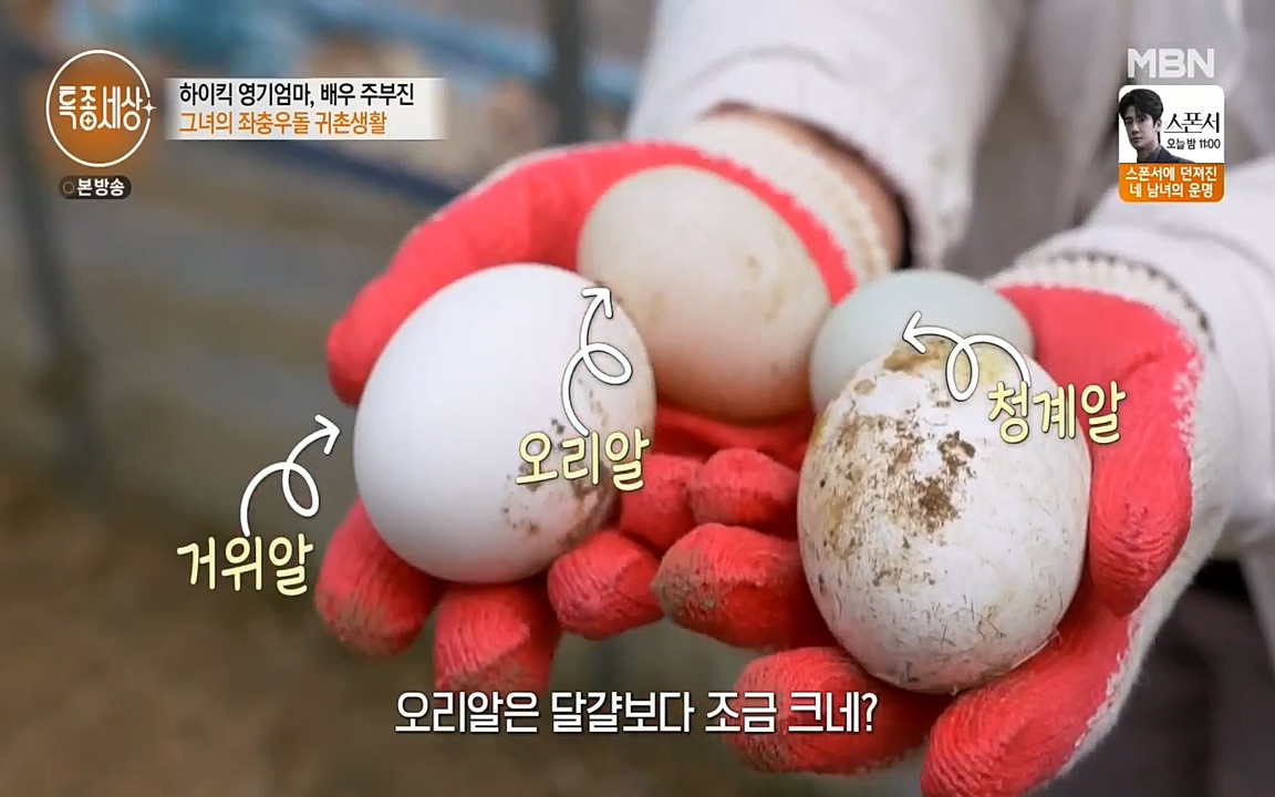 현장르포 특종세상.E524.220332p-NEXT.mp4_20220402_183024.536.jpg