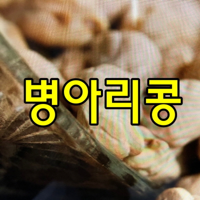  병아리콩 효능과 부작용,보관법과 요리