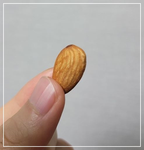  아몬드 하루 섭취량, 칼로리, 효능 빠르게 알아보기!