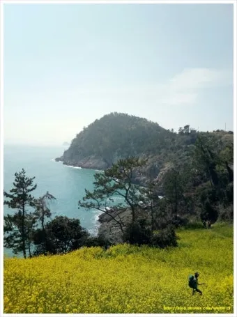 여수 화하도 배편 가는법 즐길거리_48