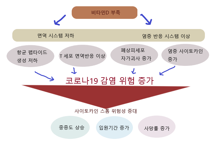 비타민D-부족이-인체에-미치는-영향