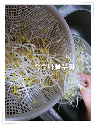 숙주나물 무침 2