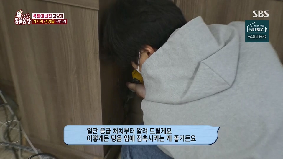 TV 동물농장.E1124.230611p.H264-F1RST.mp4_20230611_173545.442.jpg