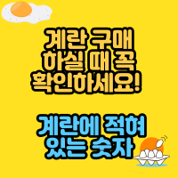  계란 구매하실 때 꼭 확인하세요!  계란에 적혀있는 숫자