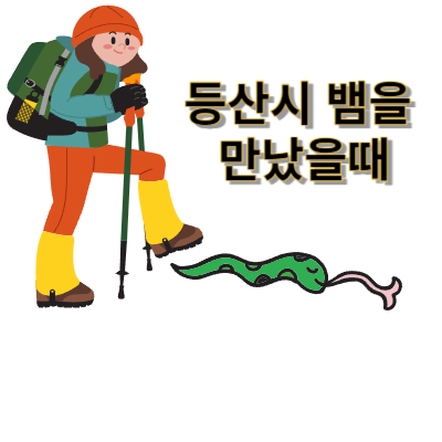  가을하면 단풍! 단풍하면!! 등산