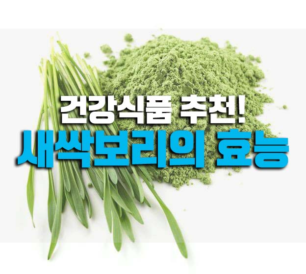  쌔싹보리효능 당뇨에 좋은 음식