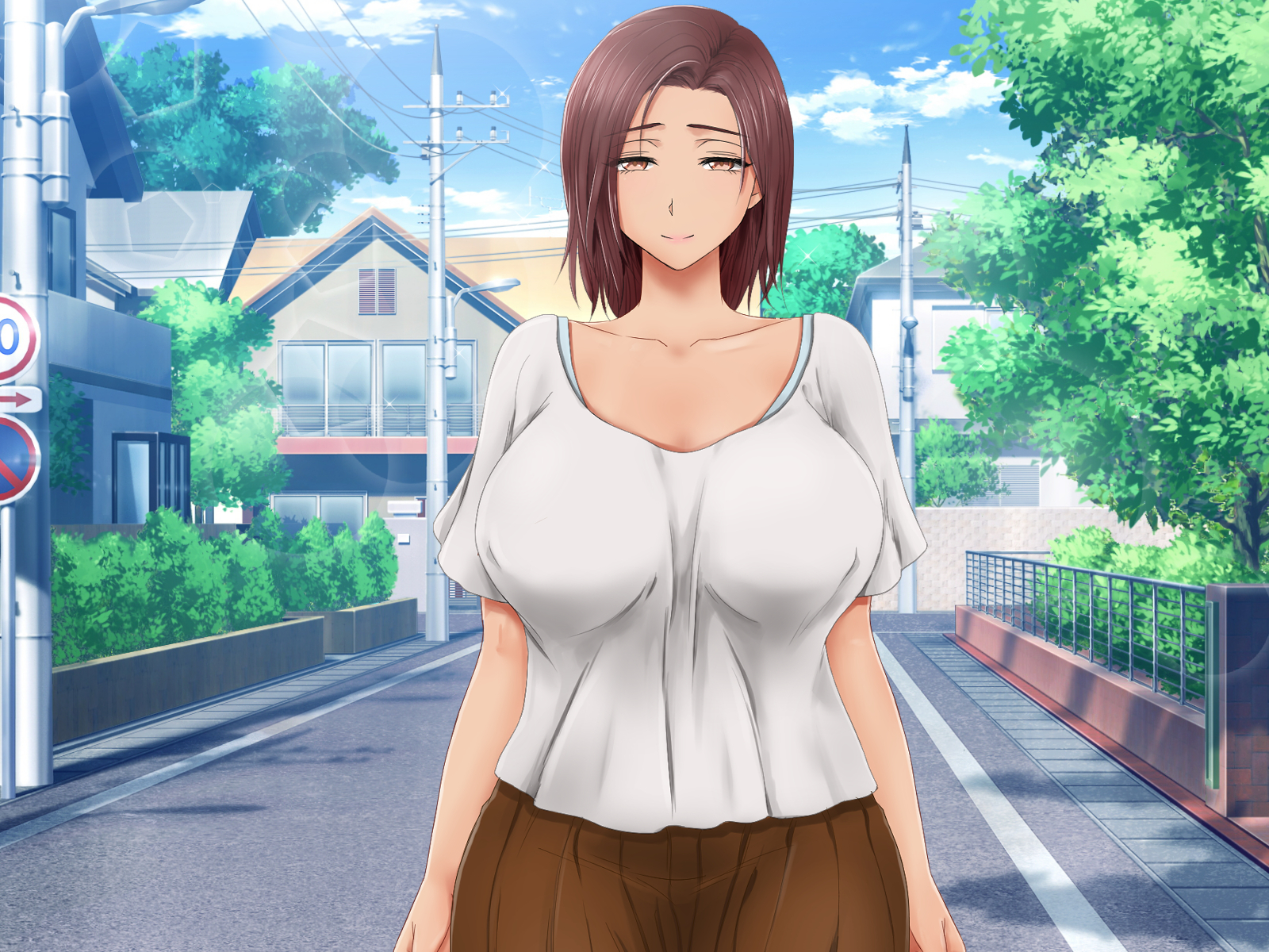  노라유부녀 (野良人妻)