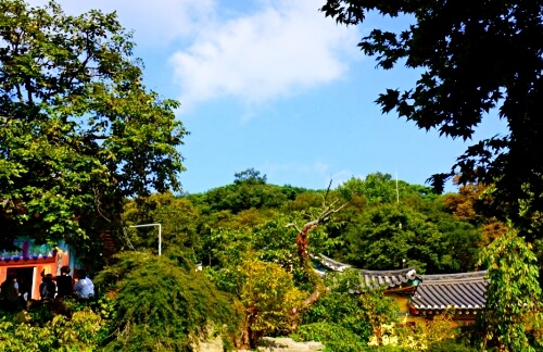 서산 개심사