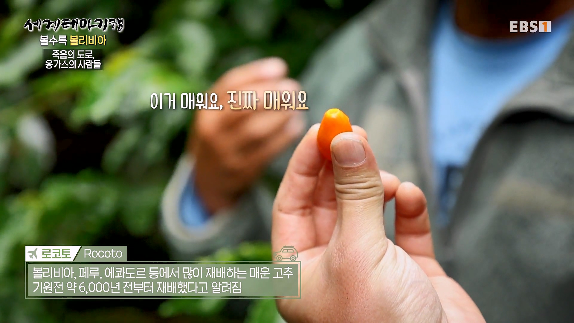 세계테마기행 231220 볼수록, 볼리비아 -치명적 여정, 우유니0p.mp4_20240608_172344.428.jpg