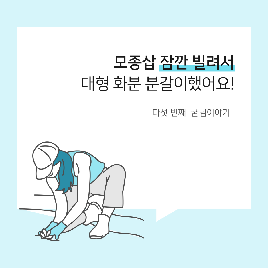  모종삽 잠깐 빌려서 대형 화분 분갈이했어요! :: 꾸다의 꾿님이야기
