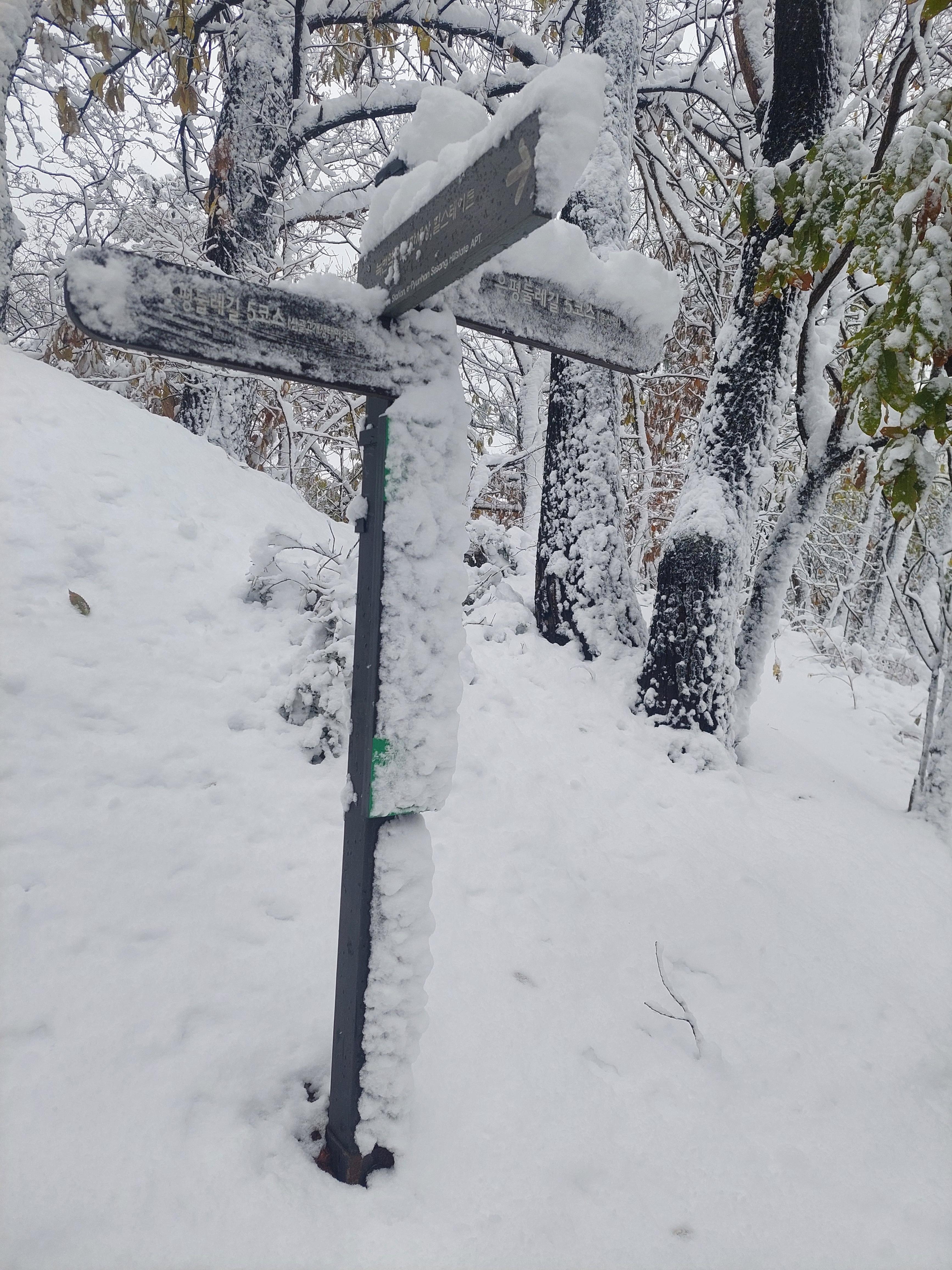 백련산안산