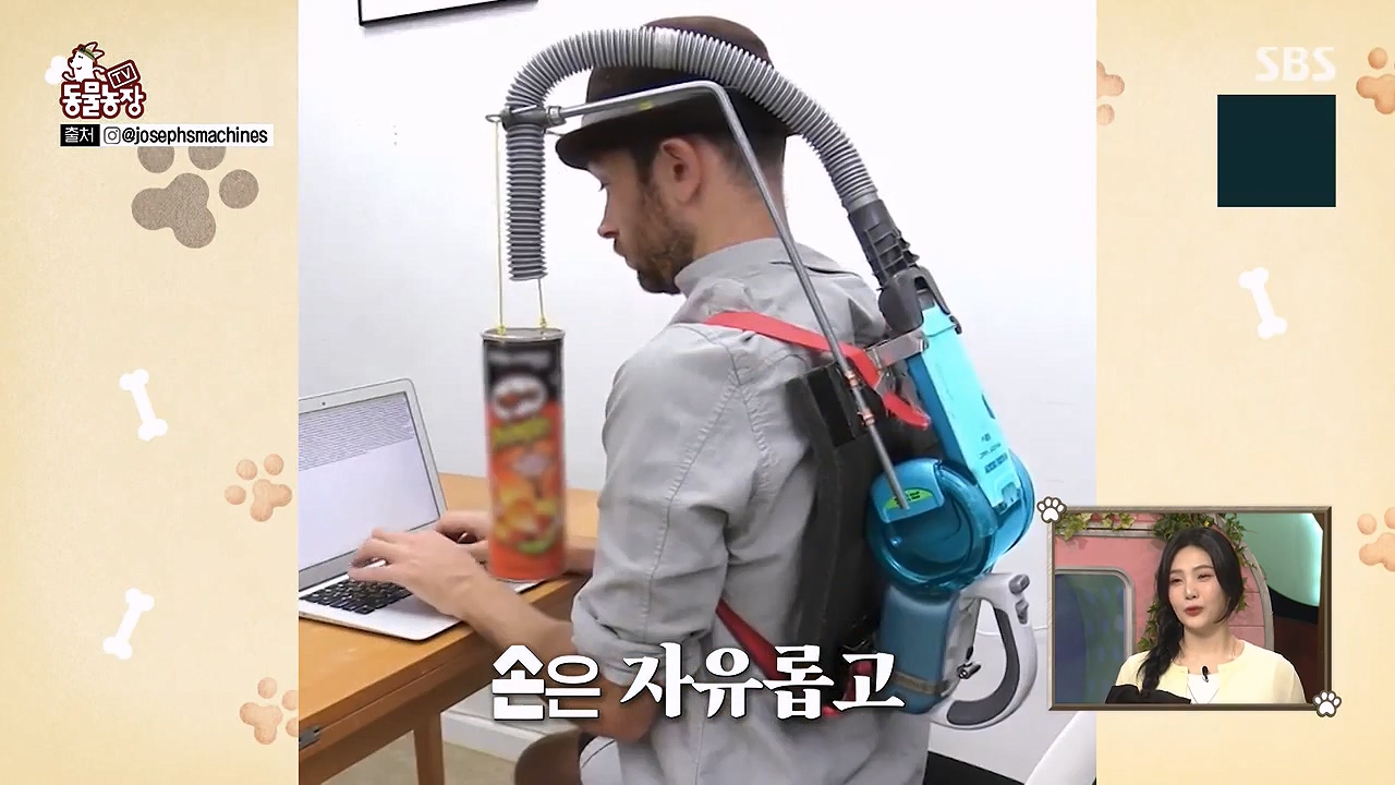 TV 동물농장.E1172.240520p-NEXT.mp4_20240519_162148.556.jpg